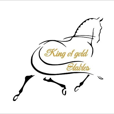 King Of Gold Stables Appartement Met Stalling Voor 5 Paarden Zutendaal Luaran gambar