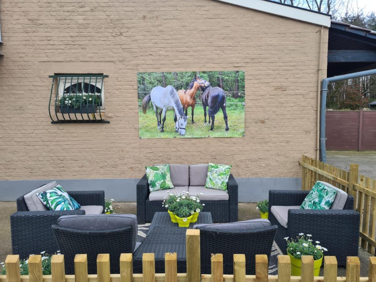 King Of Gold Stables Appartement Met Stalling Voor 5 Paarden Zutendaal Luaran gambar