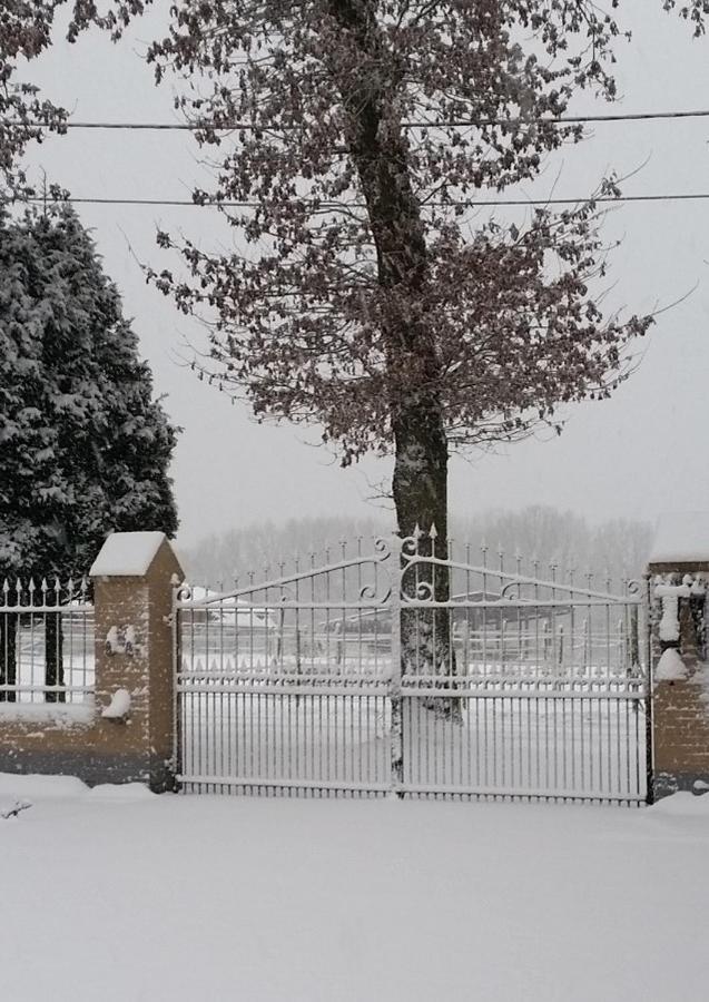King Of Gold Stables Appartement Met Stalling Voor 5 Paarden Zutendaal Luaran gambar