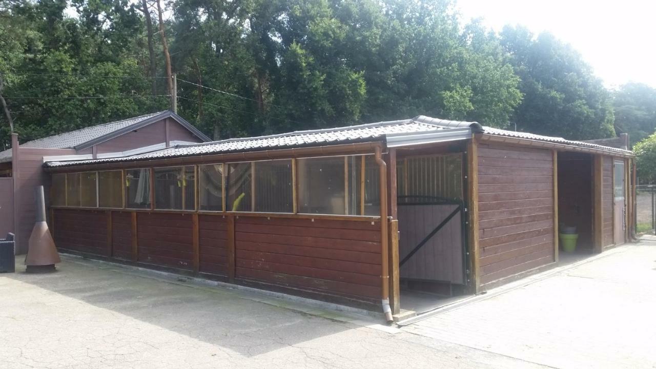 King Of Gold Stables Appartement Met Stalling Voor 5 Paarden Zutendaal Luaran gambar