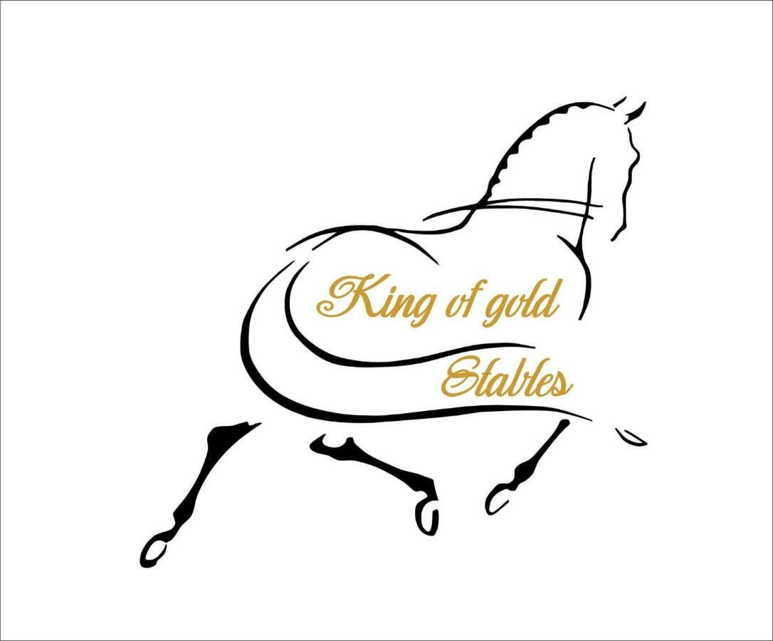 King Of Gold Stables Appartement Met Stalling Voor 5 Paarden Zutendaal Luaran gambar
